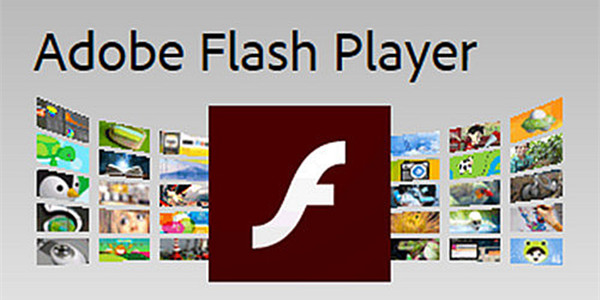 下载最新版本的Flash Player