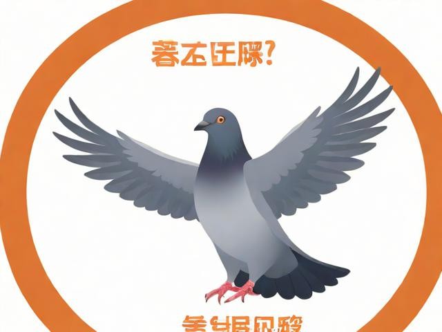 游鸽网手机客户端如何下载?-安卓v6.9.7.1版畅享本地生活与社交新体验
